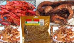 packaged crayfish business