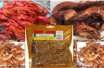 packaged crayfish business