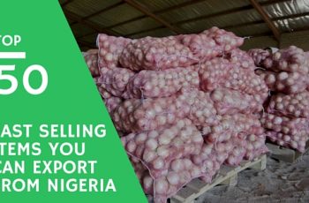 Export Business in nigeria