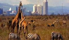Travel destinations in Kenya Nairobi