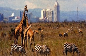 Travel destinations in Kenya Nairobi