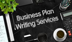 business plan writing service