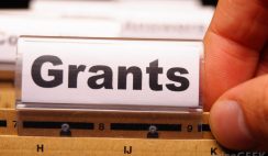 professional grant proposal writer