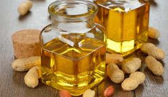 groundnut oil processing business
