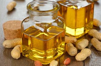 groundnut oil processing business