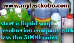 liquid soap making company