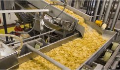potato chips production business