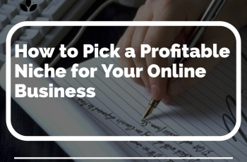 how to pick a profitable niche