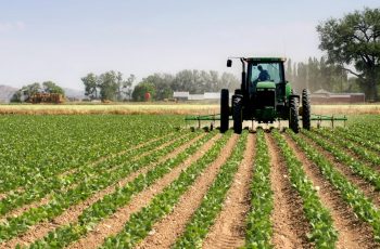 5 reasons you should invest in agriculture-www.entorm.com