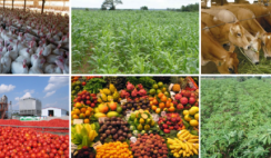 make money from agro-business