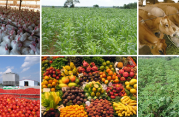make money from agro-business