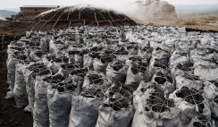 Start a charcoal exporting business