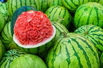 start a profitable watermelon farming business