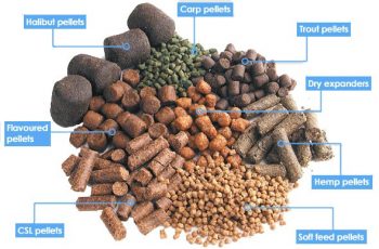 Fish Feed Production