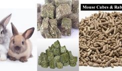 rabbit feed formulation in Nigeria