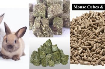 rabbit feed formulation in Nigeria