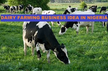Dairy farming