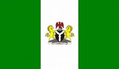 the Nigerian flag on entrepreneur