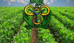 CBN Agricultural Loan