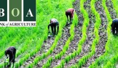 bank of agriculture loans 2019