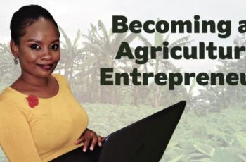 Agribusiness entrepreneur