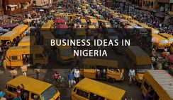 business ideas to make money in Nigeria
