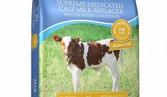 milk replacer for calves