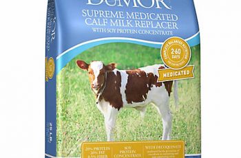 milk replacer for calves
